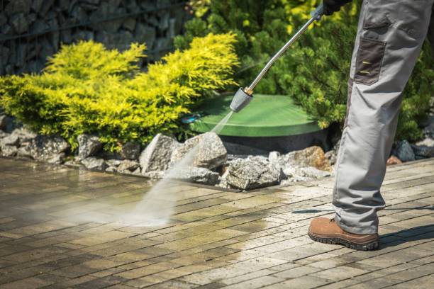 Best Sidewalk and Walkway Cleaning  in Ridgecrest, FL